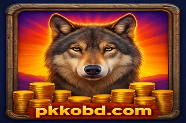 pkko দায়িত্বশীল খেলা বাংলাদেশ