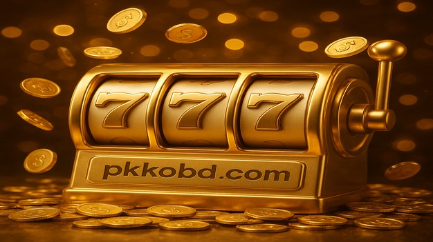 pkko ব্যবহারকারীর মতামত