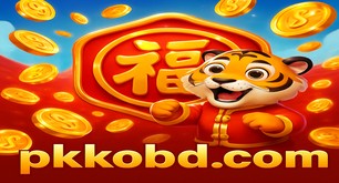 pkko অনলাইন গেমিং অভিজ্ঞতা